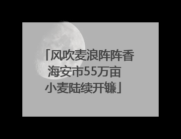 风吹麦浪阵阵香 海安市55万亩小麦陆续开镰