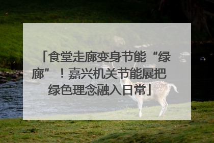 食堂走廊变身节能“绿廊”！嘉兴机关节能展把绿色理念融入日常