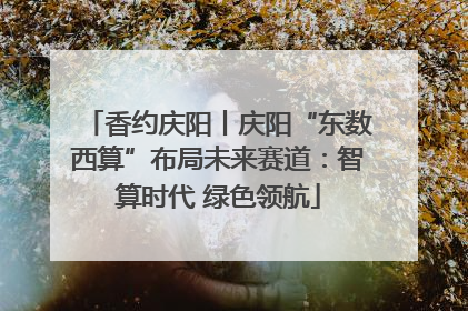 香约庆阳丨庆阳“东数西算”布局未来赛道：智算时代 绿色领航