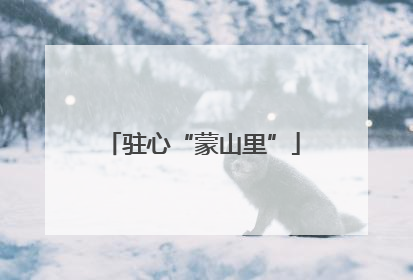 驻心“蒙山里”