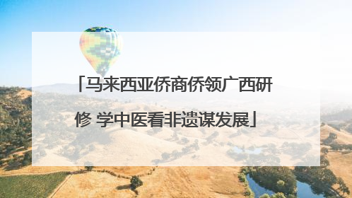 马来西亚侨商侨领广西研修 学中医看非遗谋发展