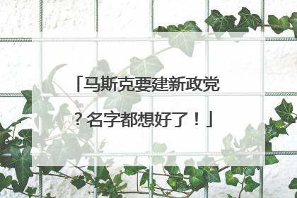 马斯克要建新政党？名字都想好了！
