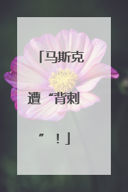 马斯克遭“背刺”！