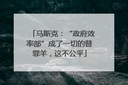 马斯克：“政府效率部”成了一切的替罪羊，这不公平
