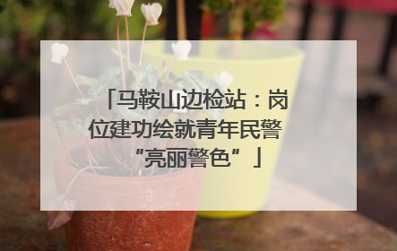 马鞍山边检站：岗位建功绘就青年民警“亮丽警色”