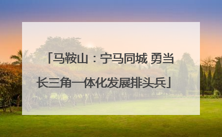 马鞍山：宁马同城 勇当长三角一体化发展排头兵