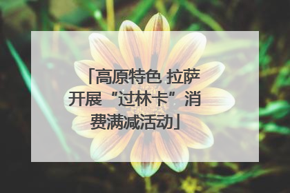 高原特色 拉萨开展“过林卡”消费满减活动