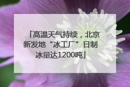 高温天气持续，北京新发地“冰工厂”日制冰量达1200吨
