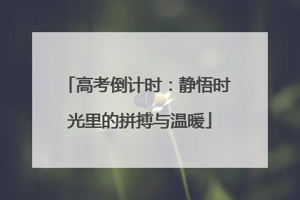 高考倒计时：静悟时光里的拼搏与温暖