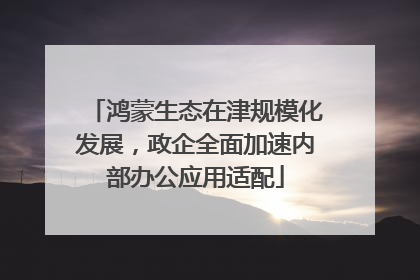 鸿蒙生态在津规模化发展，政企全面加速内部办公应用适配