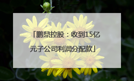 鹏鼎控股：收到15亿元子公司利润分配款