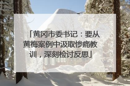 黄冈市委书记：要从黄梅案例中汲取惨痛教训，深刻检讨反思