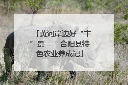 黄河岸边好“丰”景——合阳县特色农业养成记
