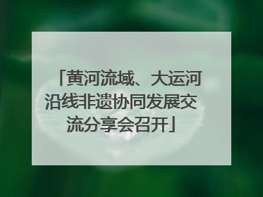 黄河流域、大运河沿线非遗协同发展交流分享会召开
