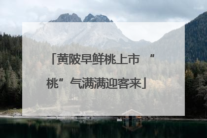 黄陂早鲜桃上市 “桃”气满满迎客来
