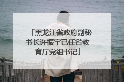 黑龙江省政府副秘书长许振宇已任省教育厅党组书记