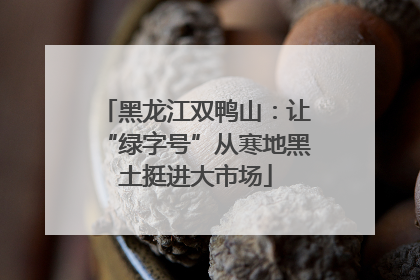 黑龙江双鸭山：让“绿字号”从寒地黑土挺进大市场