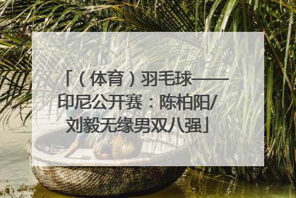 （体育）羽毛球——印尼公开赛：陈柏阳/刘毅无缘男双八强