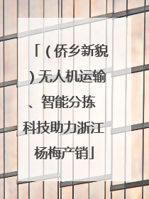 （侨乡新貌）无人机运输、智能分拣 科技助力浙江杨梅产销