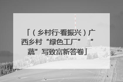 （乡村行·看振兴）广西乡村“绿色工厂” “蔬”写致富新答卷