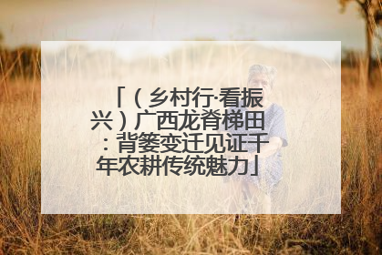（乡村行·看振兴）广西龙脊梯田：背篓变迁见证千年农耕传统魅力