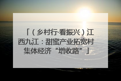 （乡村行·看振兴）江西九江：甜蜜产业拓宽村集体经济“增收路”