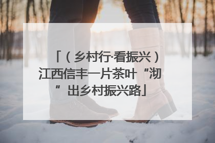 （乡村行·看振兴）江西信丰一片茶叶“沏”出乡村振兴路