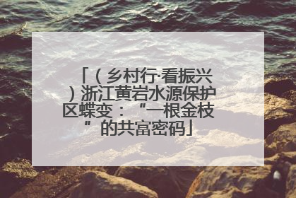 （乡村行·看振兴）浙江黄岩水源保护区蝶变：“一根金枝”的共富密码