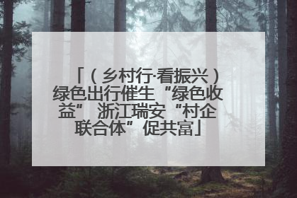 （乡村行·看振兴）绿色出行催生“绿色收益” 浙江瑞安“村企联合体”促共富