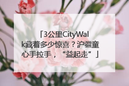 3公里CityWalk藏着多少惊喜？沪疆童心手拉手，“益起走”