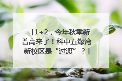 1+2，今年秋季新普高来了！科中五缘湾新校区是“过渡”？