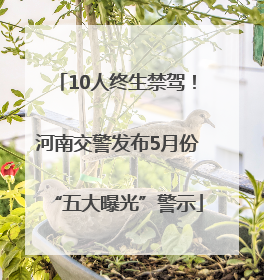 10人终生禁驾！河南交警发布5月份“五大曝光”警示
