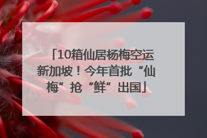 10箱仙居杨梅空运新加坡！今年首批“仙梅”抢“鲜”出国