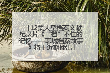 12集大型档案文献纪录片《“档”不住的记忆——聊城档案故事》将于近期播出