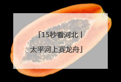 15秒看河北丨太平河上赛龙舟
