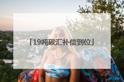 19吨碳汇补偿到位
