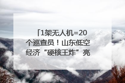 1架无人机=20个巡查员！山东低空经济“硬核王炸”亮相青岛，下一个万亿赛道藏在这里