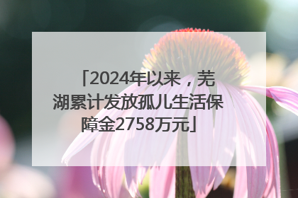 2024年以来，芜湖累计发放孤儿生活保障金2758万元