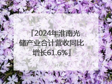 2024年淮南光储产业合计营收同比增长61.6%