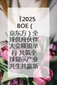 2025 BOE（京东方）全球供应伙伴大会隆重举行 共筑全球显示产业共生共赢新格局