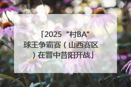 2025“村BA”球王争霸赛（山西赛区）在晋中昔阳开战