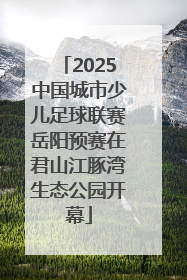 2025中国城市少儿足球联赛岳阳预赛在君山江豚湾生态公园开幕