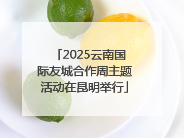 2025云南国际友城合作周主题活动在昆明举行