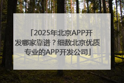 2025年北京APP开发哪家靠谱？细数北京优质专业的APP开发公司