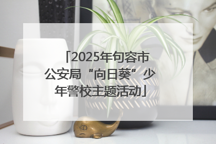 2025年句容市公安局“向日葵”少年警校主题活动