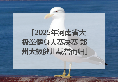 2025年河南省太极拳健身大赛决赛 郑州太极健儿载誉而归