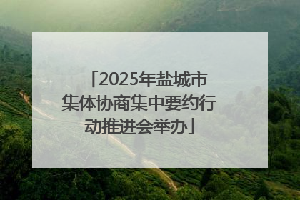 2025年盐城市集体协商集中要约行动推进会举办
