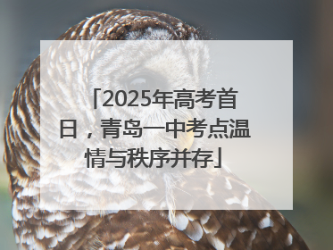 2025年高考首日，青岛一中考点温情与秩序并存