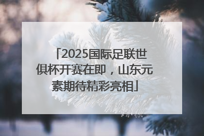 2025国际足联世俱杯开赛在即，山东元素期待精彩亮相