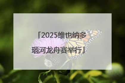 2025维也纳多瑙河龙舟赛举行
